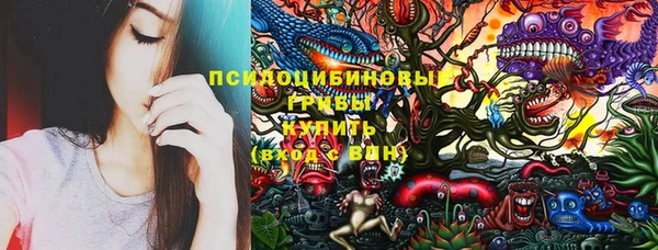 дмт Армянск