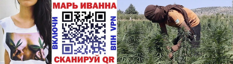 Каннабис гибрид  Пыталово 